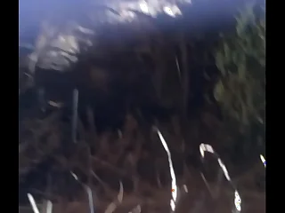 Bush mature go together with